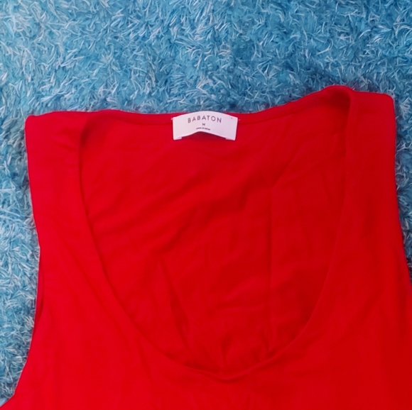 2/$45 Babaton Jeronimo tank - Picture 9 of 9